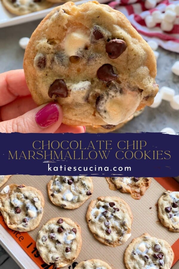 Female hand holding a cookie divided by recipe title text with baked cookies on a baking sheet below.