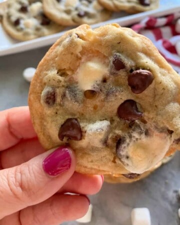 Female hand with pink nails holding a chocolate chip cookie with marshmallows.