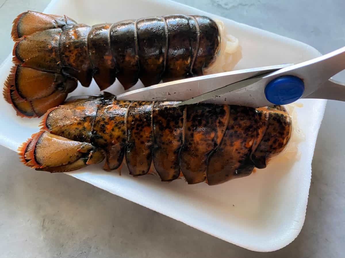 Two lobster tails on a white tray with scissors cutting the top.