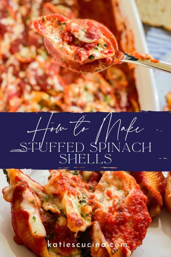 Spoonful of stuffed shells and a plate of stuffed shells separated by the title "How to Make Stuffed Shells."