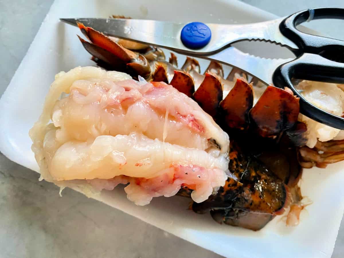 Lobster meat pulled up and over the lobster shell with another lobster tail and scissors next to it.