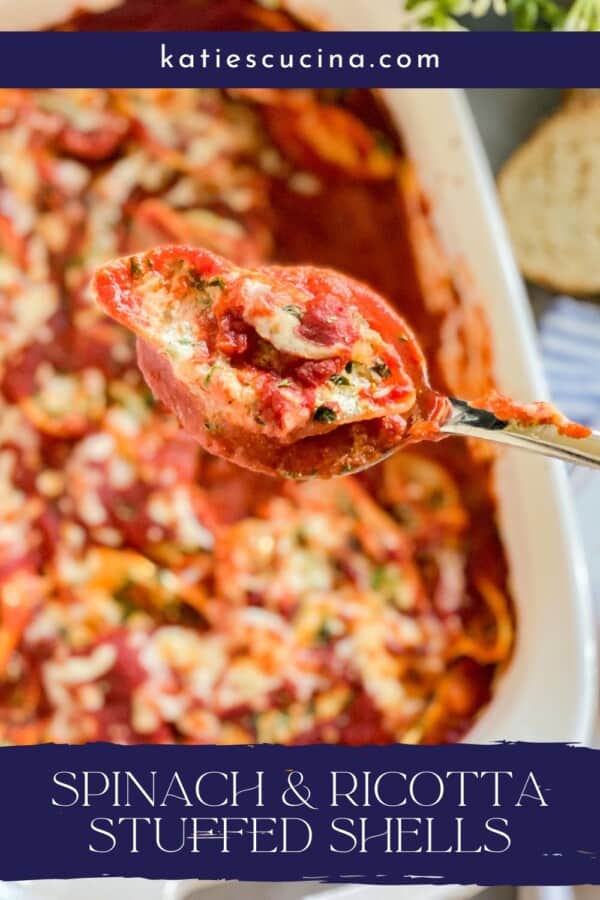 Spoonful of stuffed shells title with Katies Cucina Url on top and "Spinach & Ricotta Stuffed Shells" on the bottom.