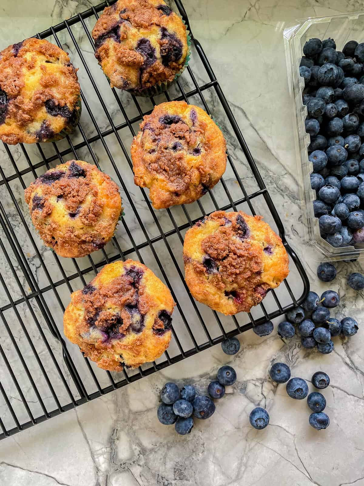 Blueberry muffins resting on a baking tray with blueberries laying around in the background.