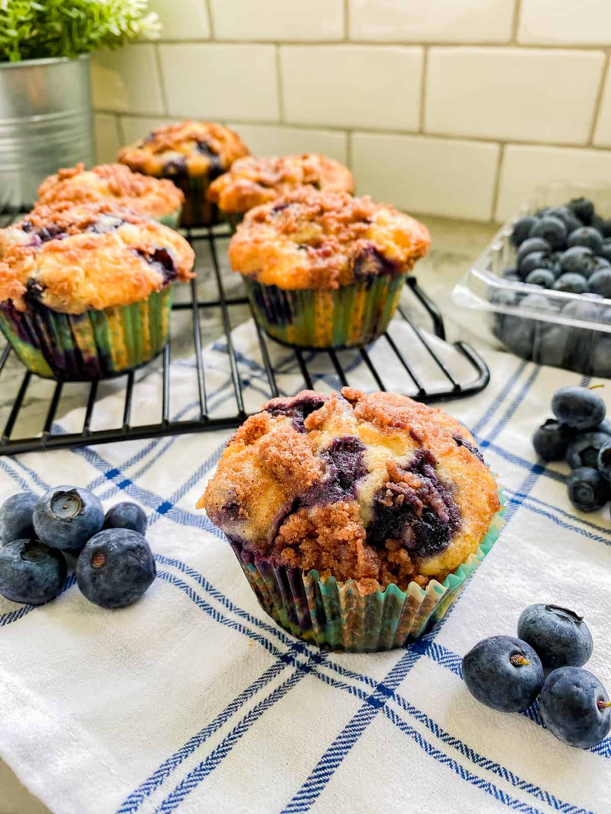 Blueberry muffins resting on a baking tray with a single muffle resting on a kitchen towel with blue berries laying around the background.