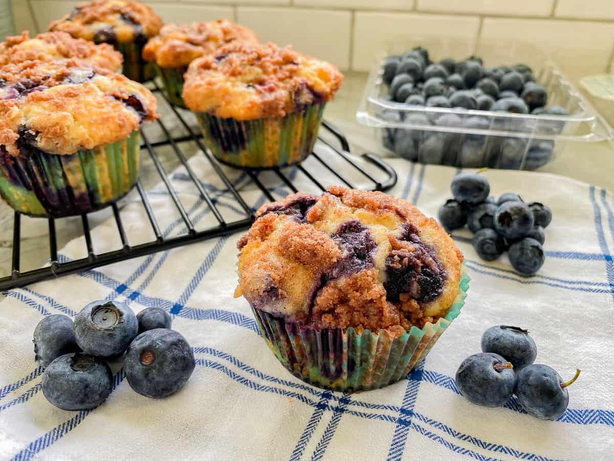 Blueberry muffins resting on a baking tray with a single muffle resting on a kitchen towel with blue berries laying around the background.