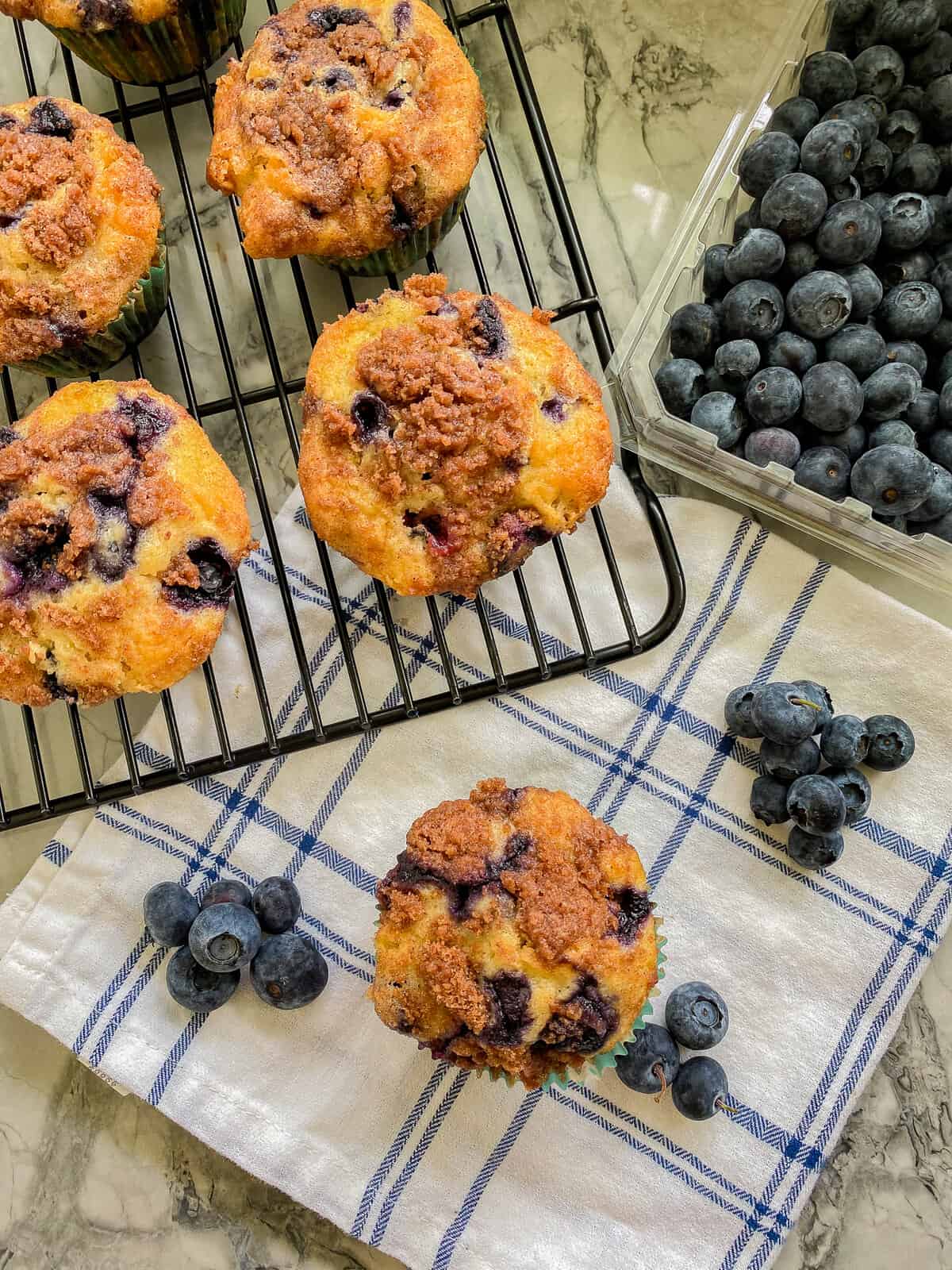 Blueberry muffins resting on a baking tray with a single muffle resting on a kitchen towel with blue berries laying around the background.