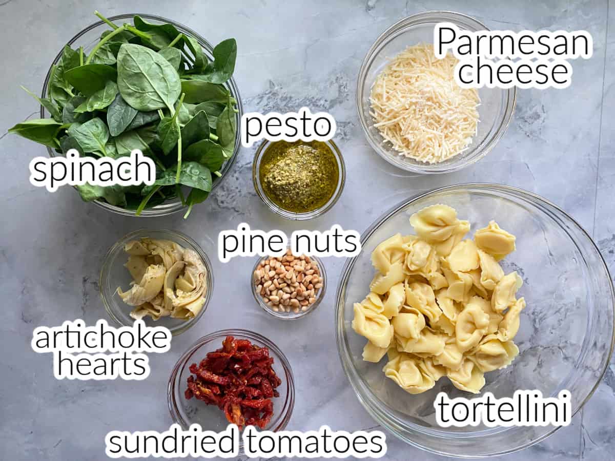 Ingredients on counter: tortellini, sundried tomatoes, pine nuts, pesto, parmesan cheese, artichoke hearts, and spinach on a countertop.