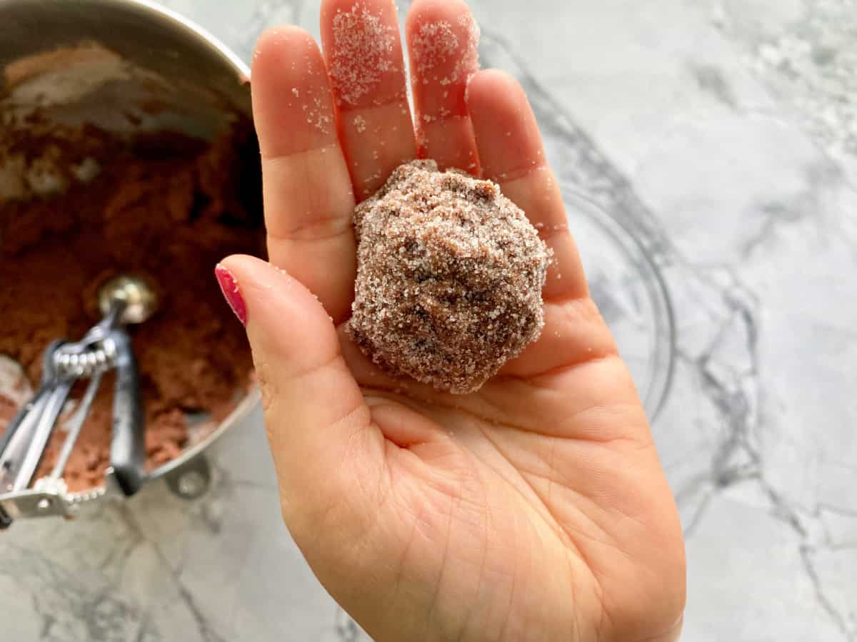 hand with chocolate sugar cookie dough ball rolled in sugar with a mixing bowl with scoop in background