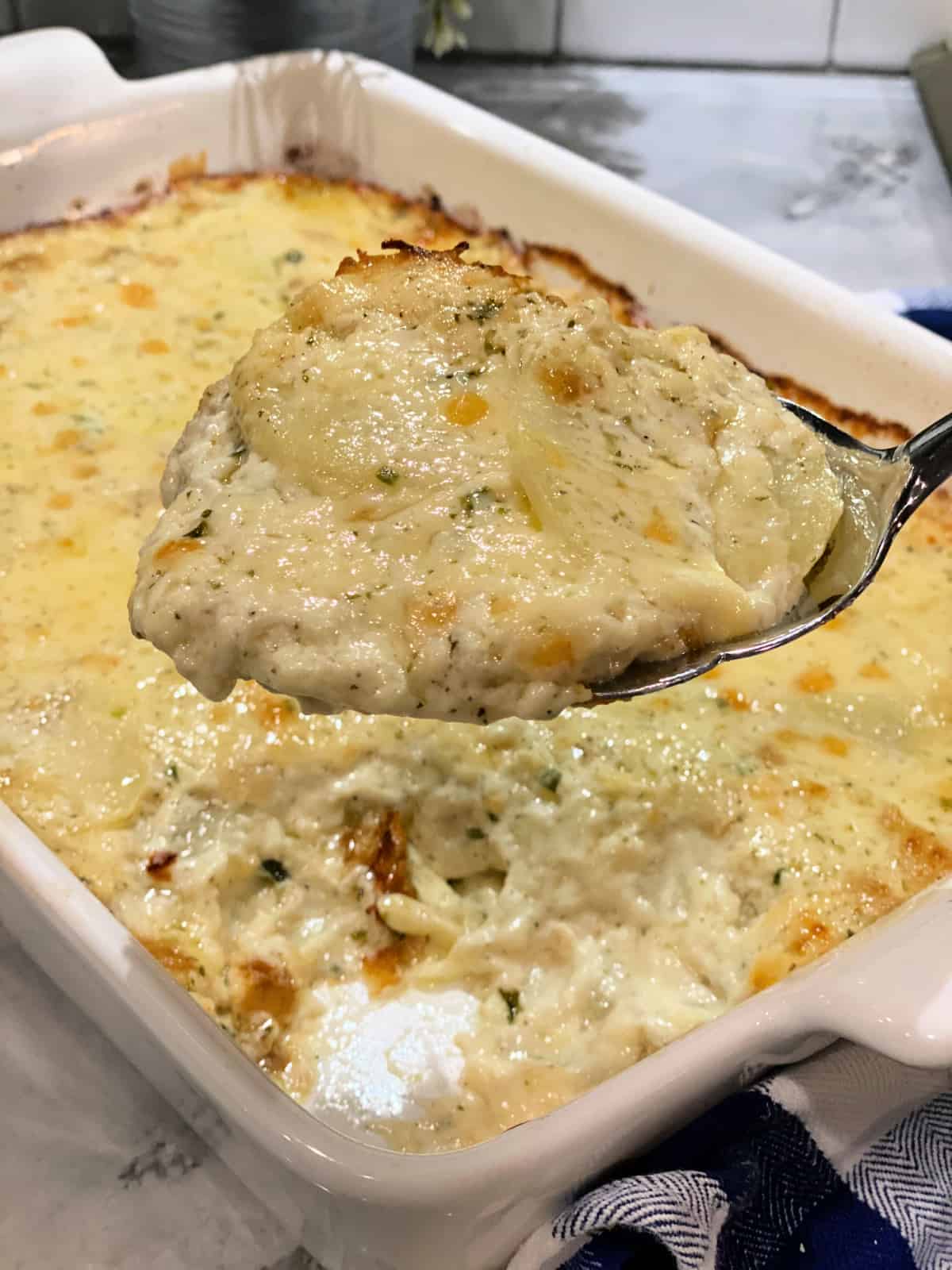 Spoonful of Cheesy Scalloped Potatoes from the white casserole dish.